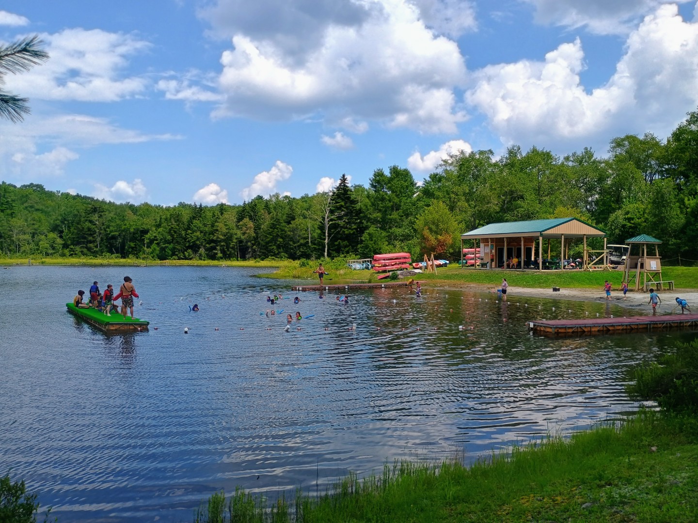 IMG_20250730_133529570_HDR_AE (Large)