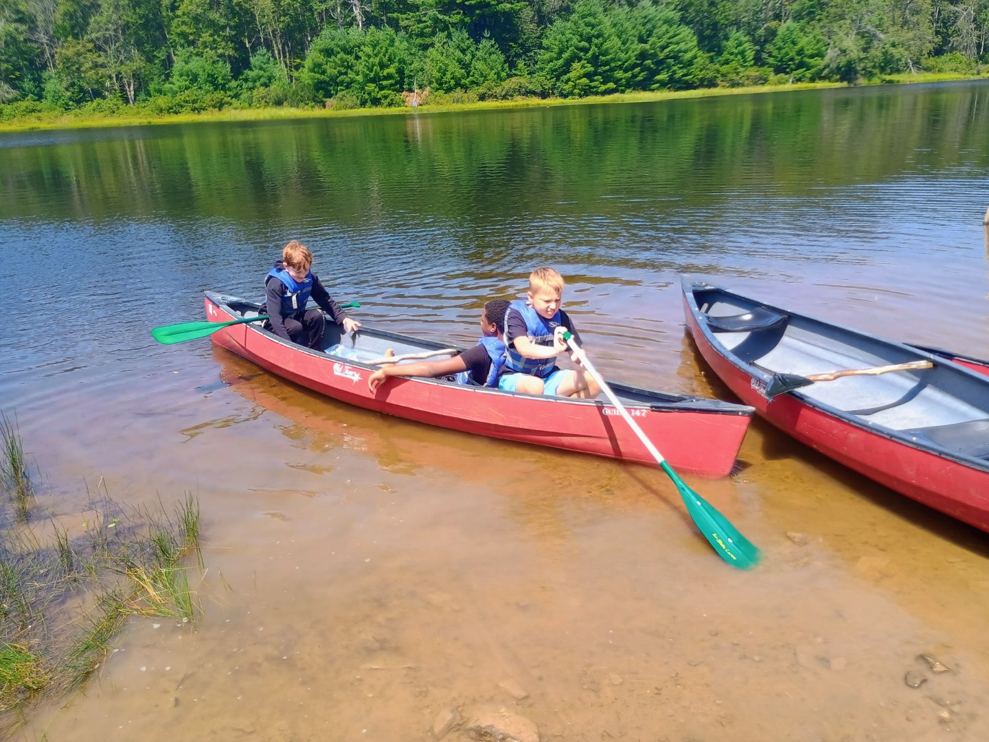 IMG_20250808_123727121_HDR_AE (Large)