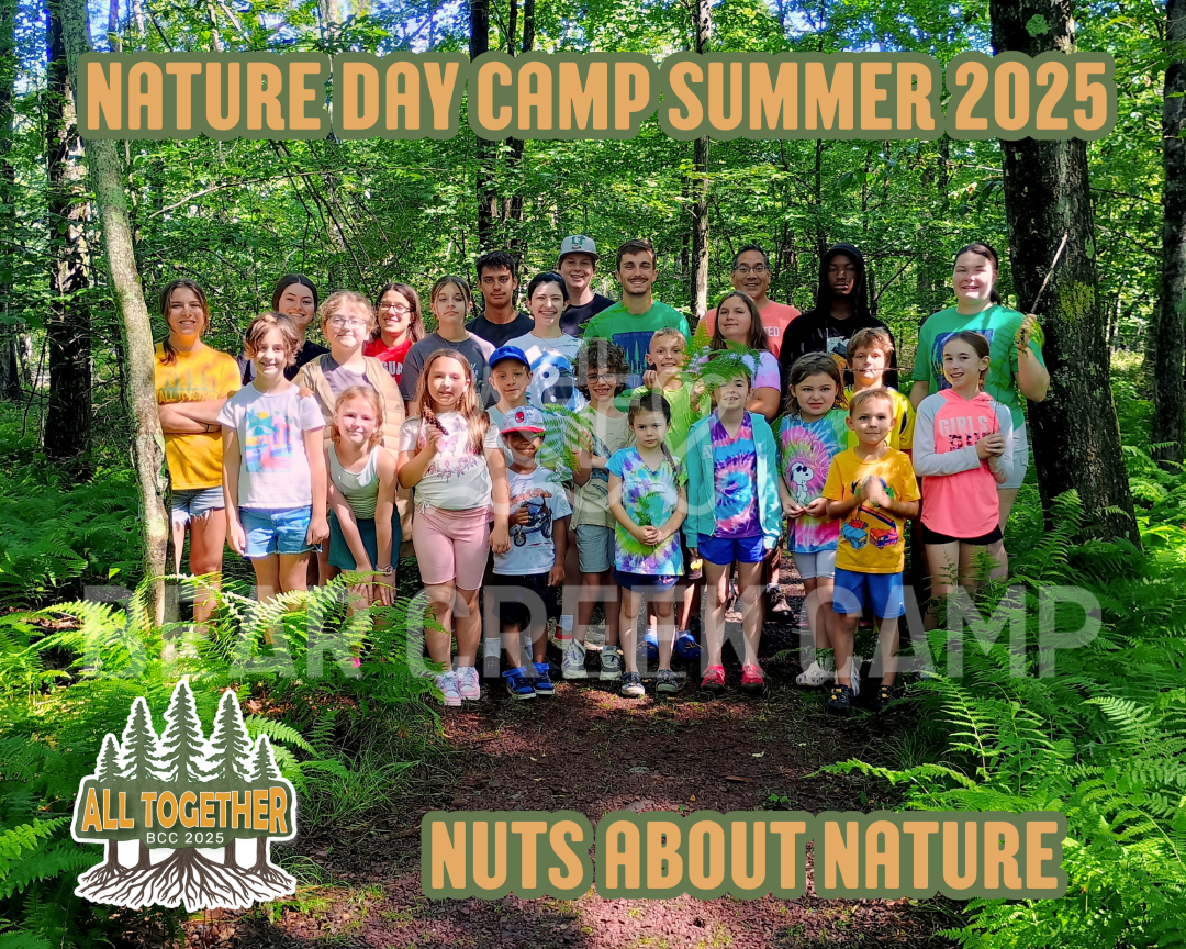 NDC Week 5 (Large)