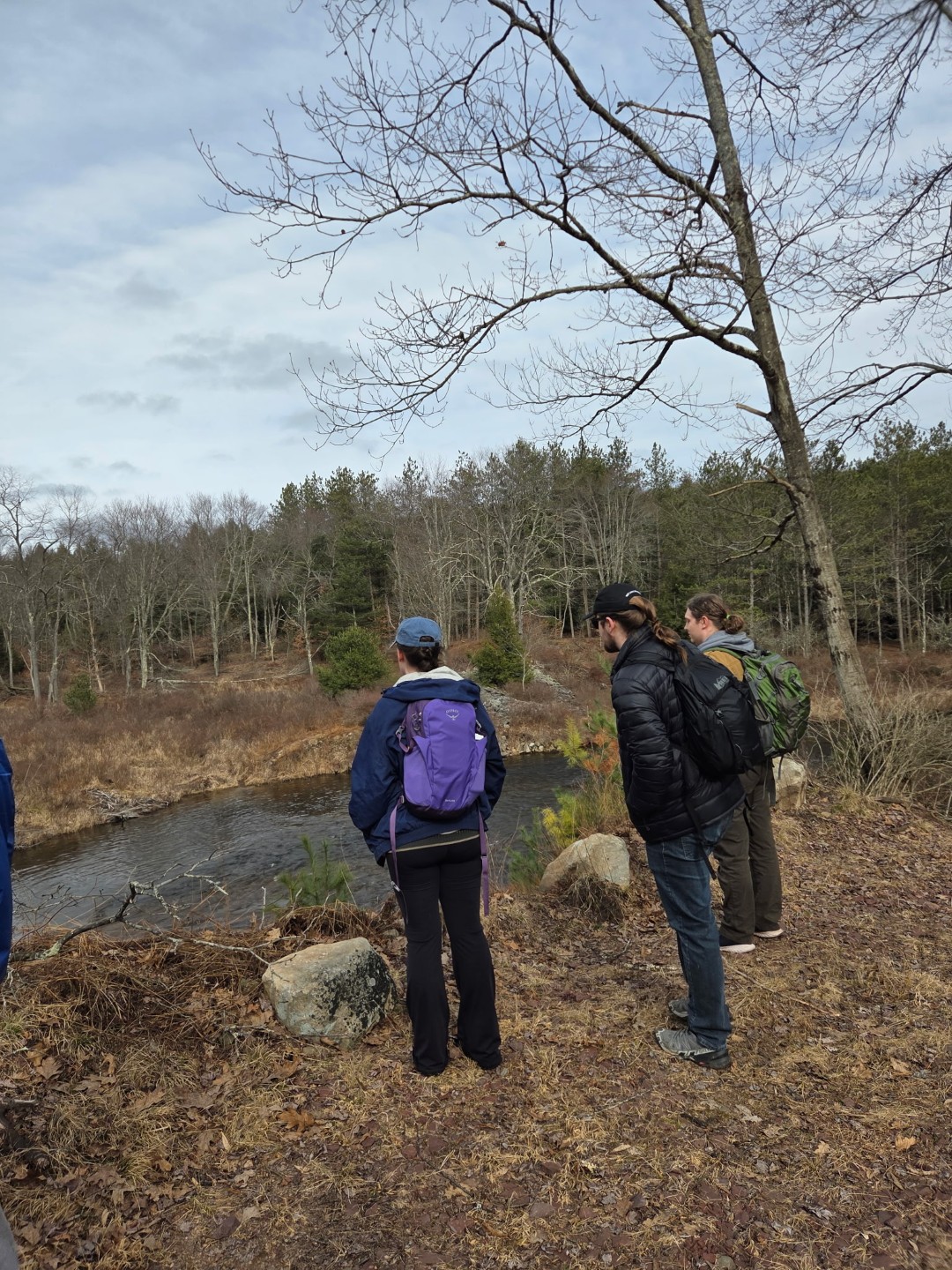 183432530180604547 (Large)