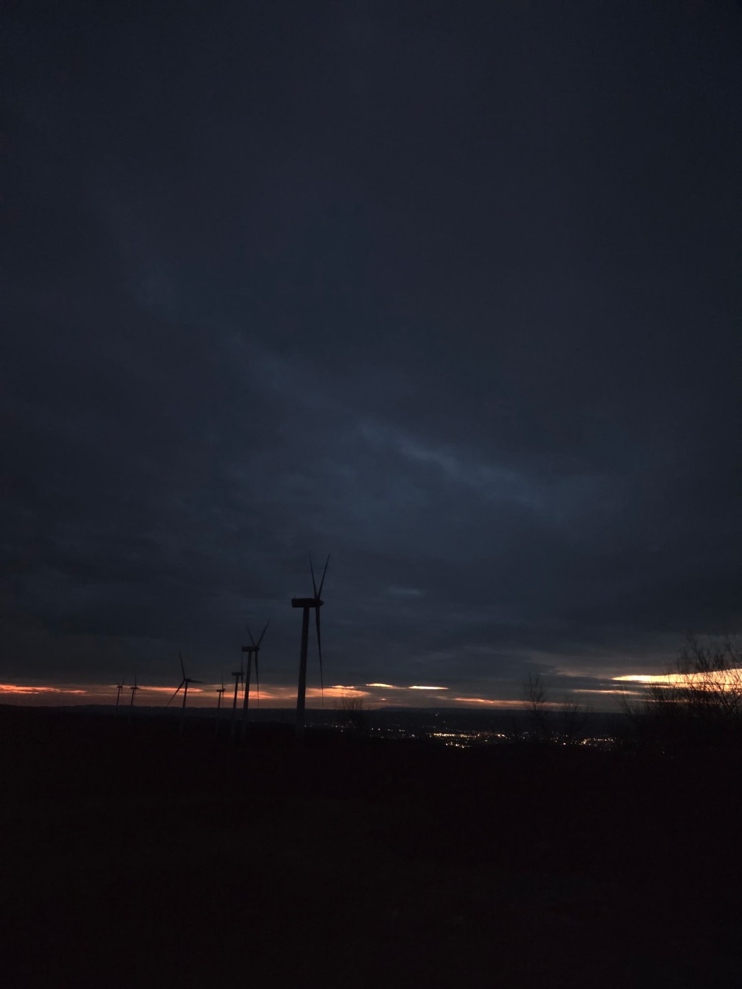 2446728226360501313 (Large)