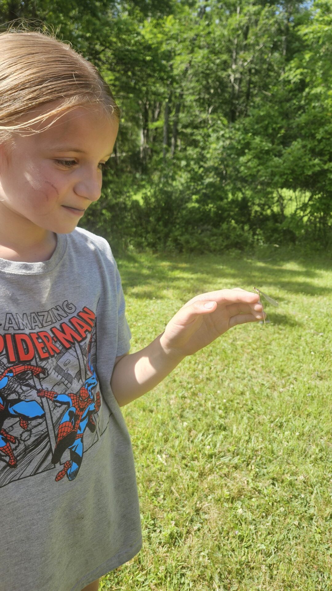 20260702_102443 (Large)