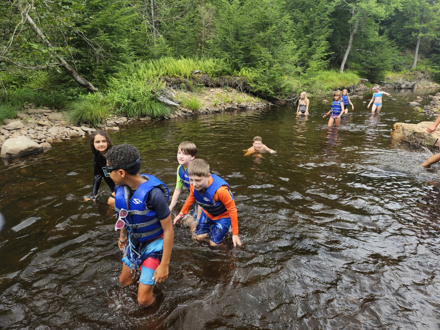 20260811_133402 (Large)