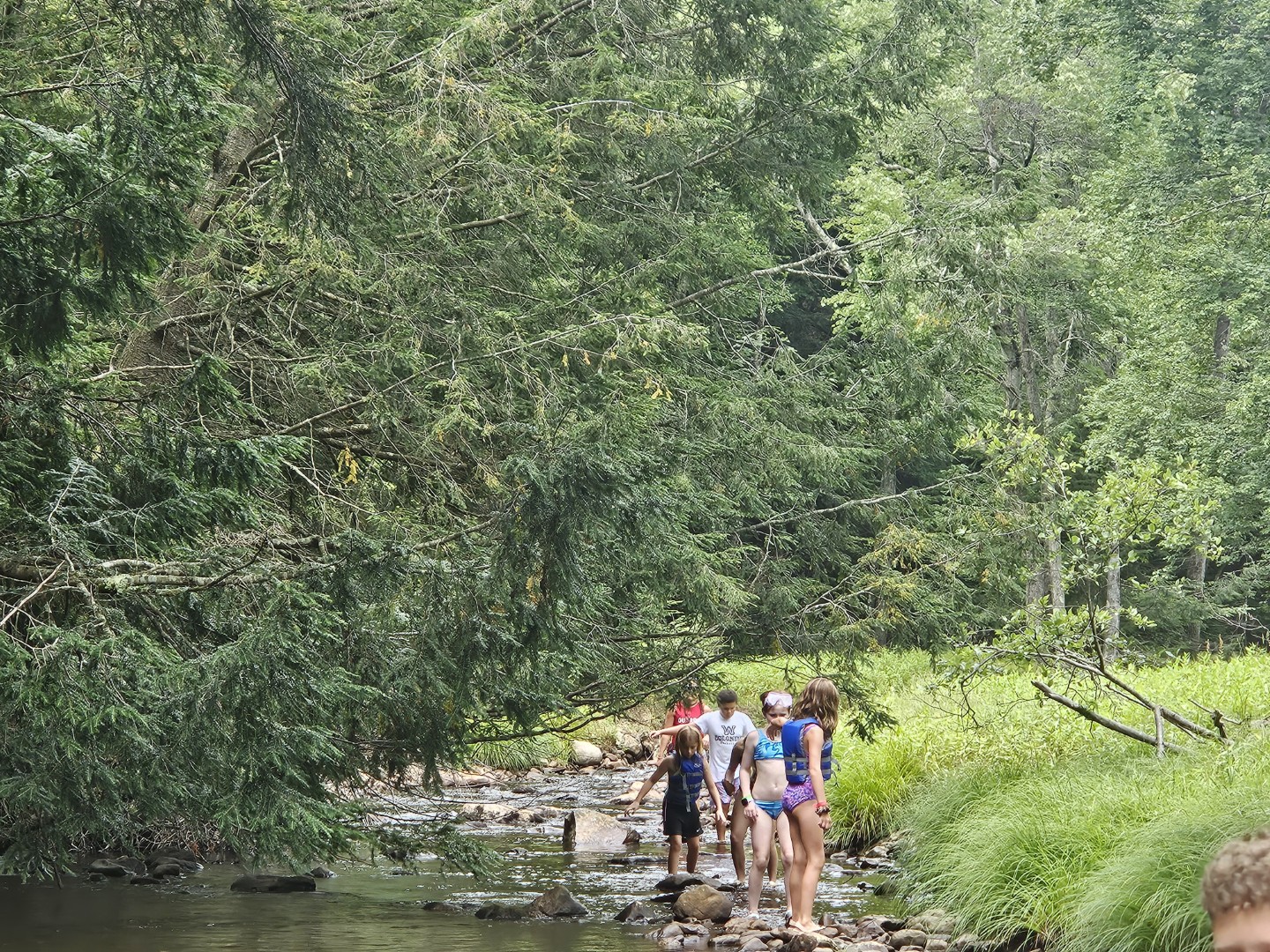 20260811_134917 (Large)