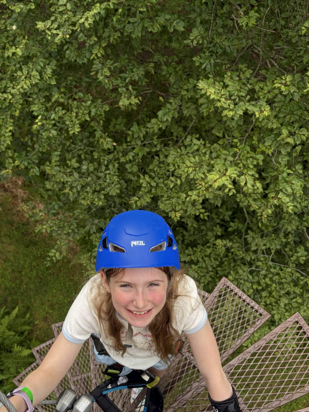 IMG_20260814_090353 (Large)